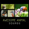 Various Artists - Awesome Animal Sounds – Relaxing Sounds, Birdsongs, Frogs, Seagulls, Evening Crickets, Hooting Owls, Natural Relaxation